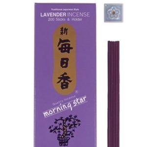 Morning Star Big Box Lavender