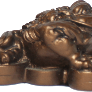 Feng Shui Pengagroda