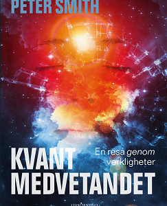 Kvantmedvetandet