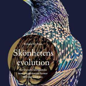 Skönhetens evolution