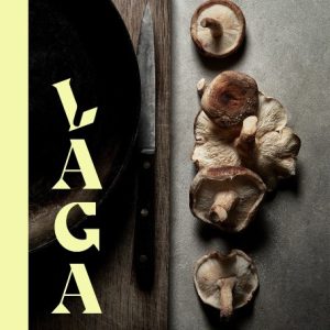 Laga svamp