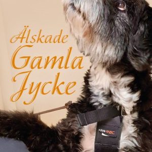 Älskade Gamla Jycke