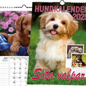 Hundkalender 2025