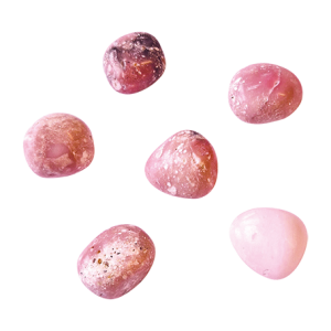 Rosa Opal trumlad