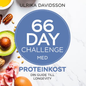 66 Day Challenge med proteinkost