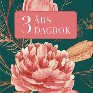 3 års dagbok