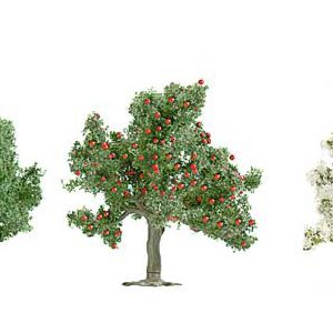 Busch, 6331, Blandade Frukt, Blommande- och Lövträd, / st, Skala H0
