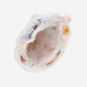 Geoder – Halv
